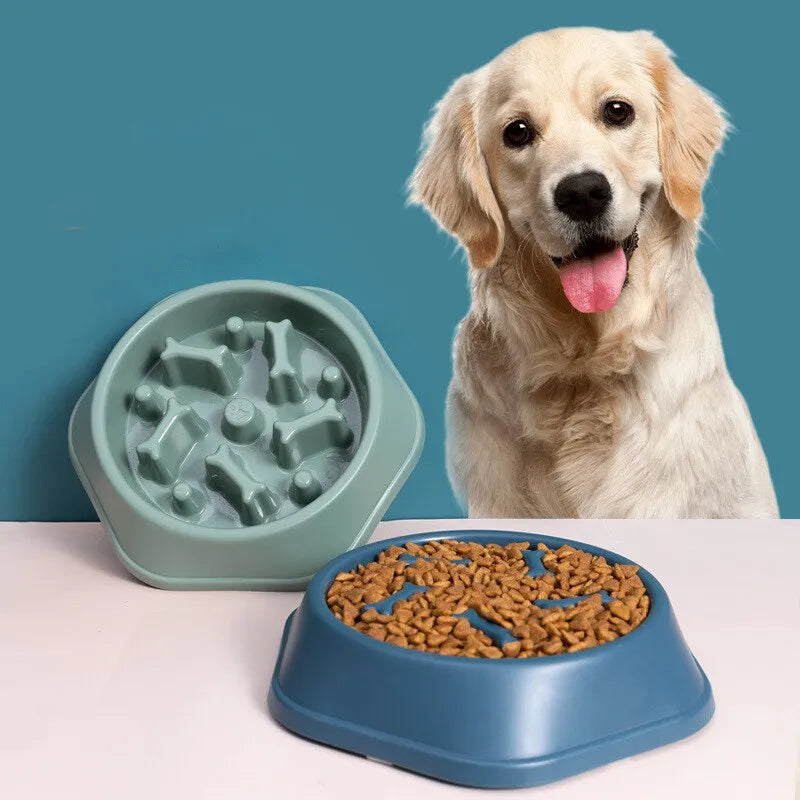 Plato Lento Para Mascotas