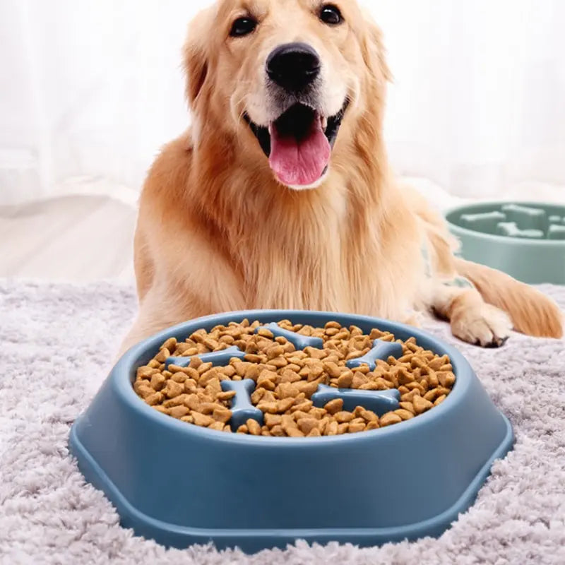 Plato Lento Para Mascotas
