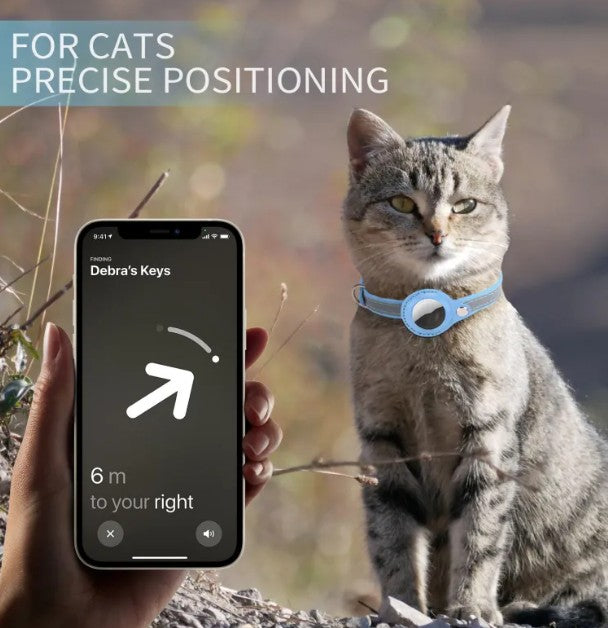 Collar con soporte localizador: nunca pierdas a tu mascota