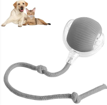 Bola Inteligente Rodante Automática para Mascotas